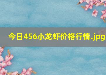 今日456小龙虾价格行情