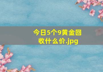 今日5个9黄金回收什么价