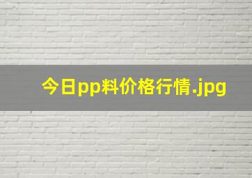 今日pp料价格行情