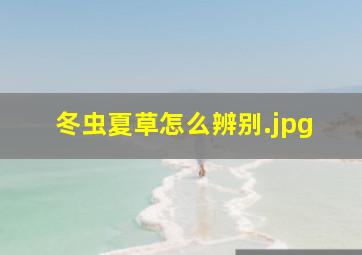 冬虫夏草怎么辨别