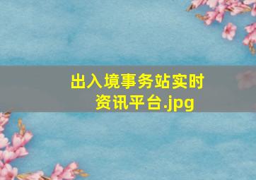 出入境事务站实时资讯平台