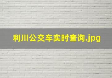 利川公交车实时查询