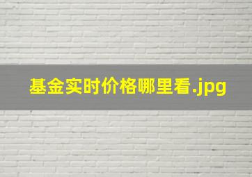 基金实时价格哪里看