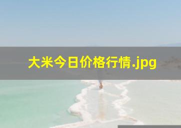 大米今日价格行情