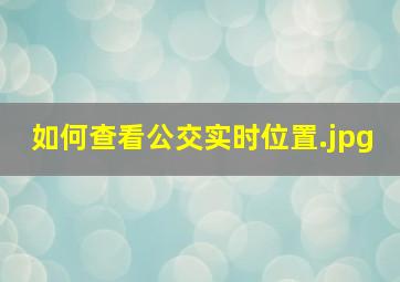 如何查看公交实时位置