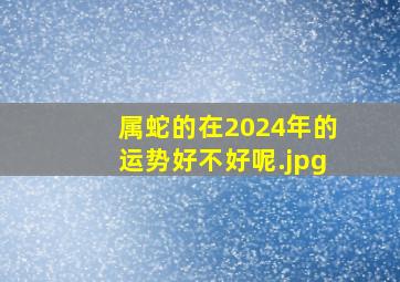 属蛇的在2024年的运势好不好呢