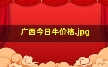 广西今日牛价格