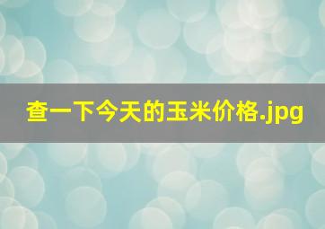 查一下今天的玉米价格