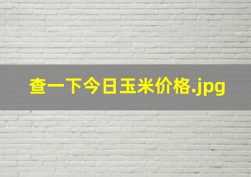 查一下今日玉米价格