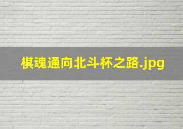 棋魂通向北斗杯之路