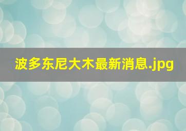 波多东尼大木最新消息