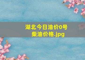 湖北今日油价0号柴油价格