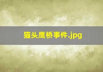 猫头鹰桥事件