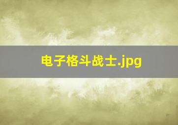 电子格斗战士