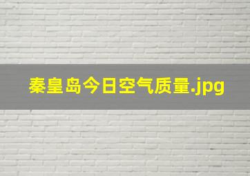 秦皇岛今日空气质量