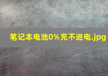 笔记本电池0%充不进电