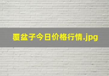 覆盆子今日价格行情