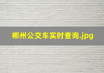 郴州公交车实时查询