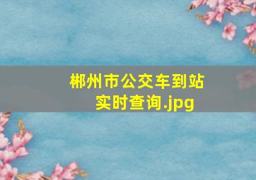 郴州市公交车到站实时查询