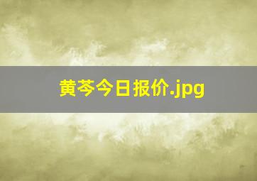 黄芩今日报价