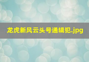 龙虎新风云头号通辑犯