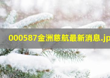 000587金洲慈航最新消息