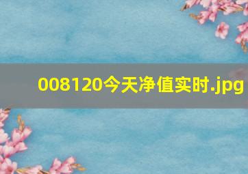 008120今天净值实时