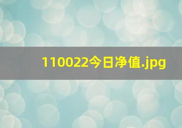 110022今日净值