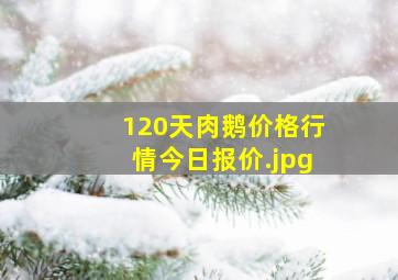 120天肉鹅价格行情今日报价