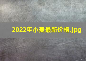 2022年小麦最新价格