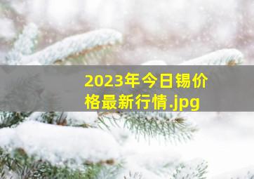 2023年今日锡价格最新行情