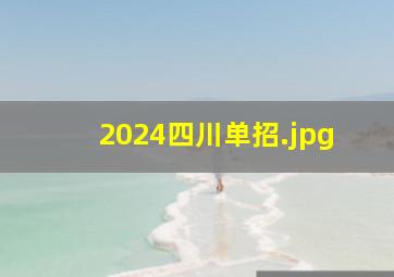 2024四川单招