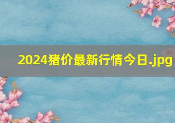 2024猪价最新行情今日