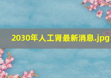 2030年人工肾最新消息