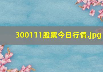 300111股票今日行情