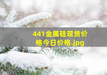 441金属硅现货价格今日价格