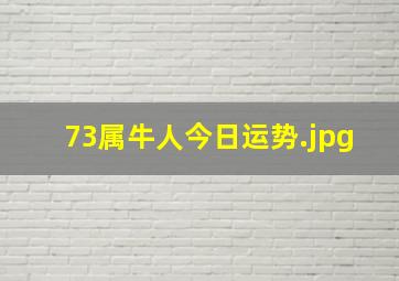 73属牛人今日运势