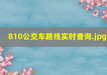 810公交车路线实时查询