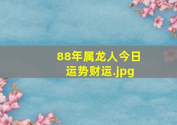 88年属龙人今日运势财运