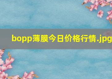 bopp薄膜今日价格行情