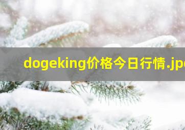 dogeking价格今日行情