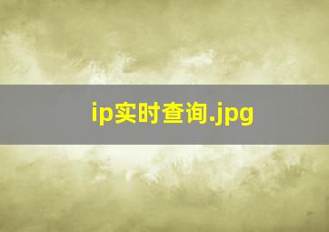 ip实时查询