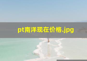 pt南洋现在价格