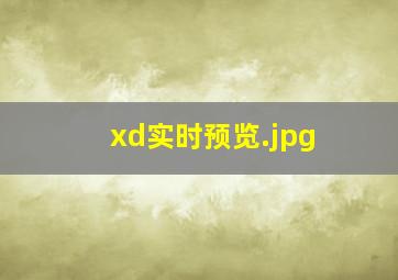 xd实时预览