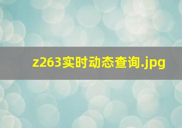 z263实时动态查询